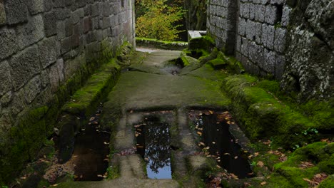 Subtle-panning-of-the-hallway-of-an-old-architectural-structure-with-slimy-green-floor-and-puddles-of-stagnant-water-with-dry-leaves