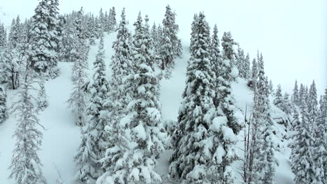 Deep-powder-snowing-cinematic-aerial-Colorado-Loveland-Ski-Resort-Eisenhower-Tunnel-Coon-Hill-backcountry-i70-heavy-winter-spring-snow-Continential-Divide-Rocky-Mountains-cover-pine-trees-circling
