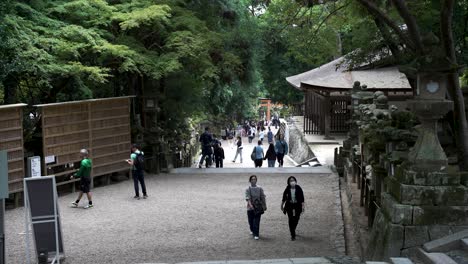 Slow-motion-оf-tourists-leisurely-walk-along-a-path-near-Kasuga-Taisha-Shrine-in-Nara,-Japan