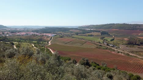 Portugal,-Óbidos,-Panoramablick-Von-Der-Stadt,-Zeigt-Die-Landschaft-Mit-Grünen-Feldern-Und-Wäldern