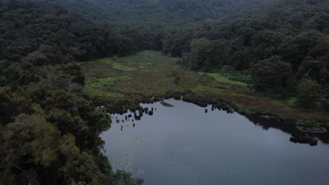 Drone-shot-of-Kookal-Lake-tropical-forest-valley-under-rainy-sky,-Kodaikanal,-Tamil-Nadu,-India