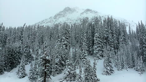 Deep-powder-snow-cinematic-aerial-Colorado-Loveland-Ski-Resort-Eisenhower-Tunnel-Coon-Hill-backcountry-i70-heavy-winter-spring-snow-Continential-Divide-Rocky-Mountains-snow-cover-pine-trees-downward