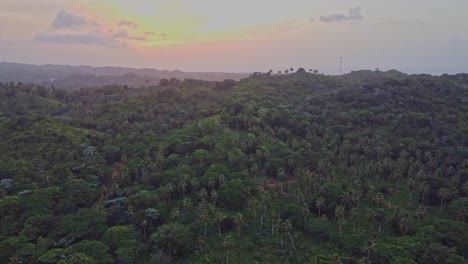 Luftaufnahme-Der-üppigen-Vegetation-In-Der-Ländlichen-Region-Rund-Um-Die-Stadt-El-Limón-Auf-Der-Halbinsel-Samaná-In-Der-Dominikanischen-Republik