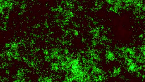 Animation-of-green-glimmering-particles-on-black-background