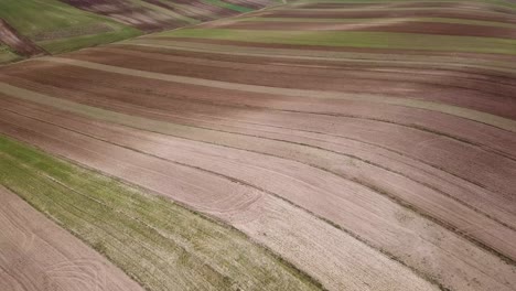 aerial-shot-from-wheat-rainfed-cultivation-traditional-dry-farm-agriculture-summer-season-brown-wonderful-scenic-landscape-of-hills-in-the-plain-perspective-line-Iran-harvest-local-farmer-land-field