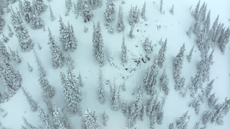 Cinematic-aerial-Colorado-Deep-powder-snowing-Loveland-Ski-Resort-Eisenhower-Tunnel-Coon-Hill-backcountry-i70-heavy-winter-spring-snow-Continential-Divide-Rocky-Mountains-cover-pine-trees-circling