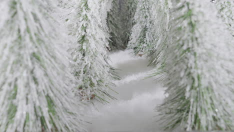 timelapse-of-footprint-appearing-in-the-snow-covered-forest