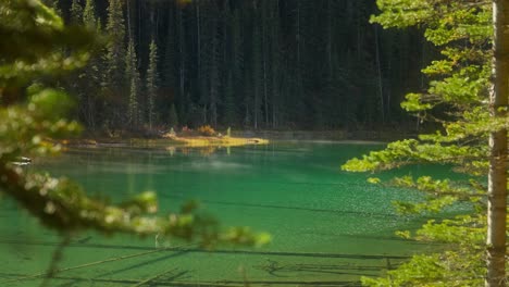 Leichter-Dampfnebel-Auf-Der-Oberfläche-Des-Vista-Lake-Mit-Klarem-Wasser-In-Kanada