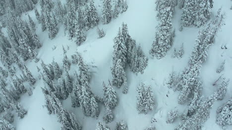 Tiefer-Pulverschnee,-Filmische-Luftaufnahme,-Skigebiet-Colorado-Loveland,-Eisenhower-Tunnel,-Coon-Hill,-Hinterland,-I70,-Schwerer-Winter,-Frühling,-Schnee,-Kontinentale-Wasserscheide,-Felsige-Berge,-Decke,-Kiefern,-Vogelperspektive