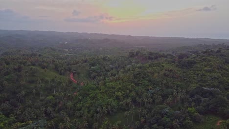 Aerial-view-of-the-lush-vegetation-in-the-rural-region-around-the-town-El-Limón-on-the-Samaná-peninsula-in-the-Dominican-Republic