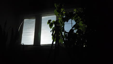Slow-pan-point-of-view-looking-out-from-a-dark-living-room-to-the-window-light-outside