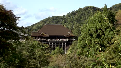 Malerische-Aussicht-Auf-Die-Haupthalle-Und-Die-Bühne-Im-Kiyomizu-Dera,-Eingebettet-In-Einen-Wald-Am-Hang-In-Kyoto