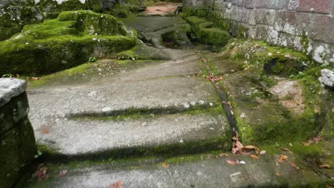 Walkway-with-stairs-in-an-old-architectural-structure-with-a-slimy-green-floor-surrounded-by-trees-and-nature