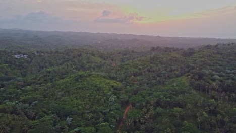 Vista-Aérea-De-La-Exuberante-Vegetación-En-La-Región-Rural-Alrededor-De-La-Ciudad-El-Limón-En-La-Península-De-Samaná-En-La-República-Dominicana