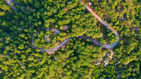 Stunning-aerial-4k-drone-footage-of-a-empty-road-that-glides-through-a-lush,-forested-landscape