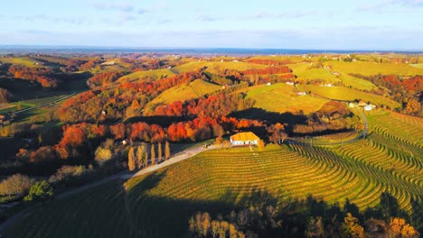 Stunning-Aerial-4K-drone-footage-of-vineyard-cottage-Malek---Jeruzalem,-Slovenia-filmed-in-the-golden-hour-sunset---Fall,-Autumn