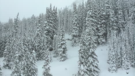 Filmische-Luftaufnahmen-Colorado-Winter-Frühling-Tiefer-Pulverschnee-Schneit-Bedeckte-Bäume-Loveland-Skigebiet-Eisenhower-Tunnel-Coon-Hill-Backcountry-I70-Schwere-Kontinentale-Wasserscheide-Rocky-Mountains-Langsam-Vorwärts