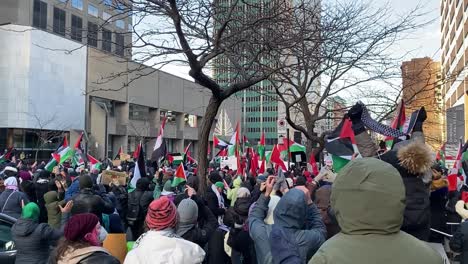 Personas-Manifestándose-En-Apoyo-A-Palestina-En-La-Ciudad.
