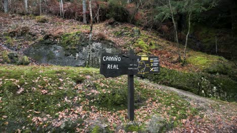 Natural-place-surrounded-by-trees-with-a-beautiful-wooden-indicative-sign-with-letters-and-symbols-that-reads-"camino-real"
