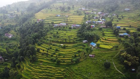 Aerial-view-of-idyllic-farm-fields-located-on-slope-in-Nepal-during-sunset-time--