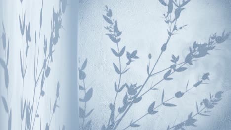 wall-corner-with-blue-soft-background-and-shade-of-plant-tree-nature-moving-by-gentle-breeze-rendering-animation-display-products-e-commerce-online-shop-sale-discount