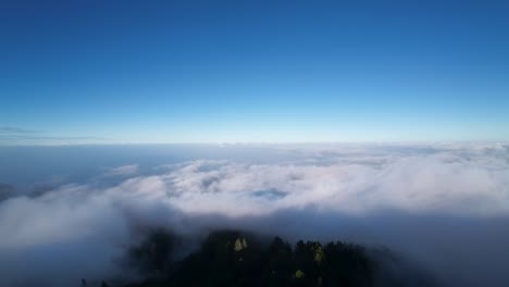 Forest-Canopy-Rising-Above-Clouds-in-Afternoon-at-Madeira-Island