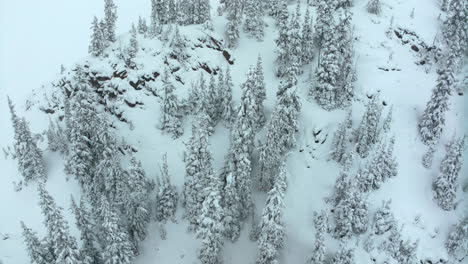 Deep-powder-snowing-cinematic-aerial-Colorado-Loveland-Ski-Resort-Eisenhower-Tunnel-Coon-Hill-backcountry-i70-heavy-winter-spring-snow-Continential-Divide-Rocky-Mountains-circling-Birds-Eye-view