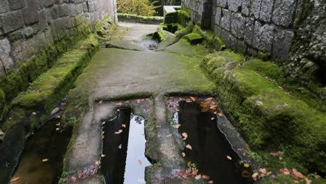Corridor-of-an-old-architectural-structure-with-green-slimy-floor-and-puddles-of-stagnant-water-with-dry-leaves