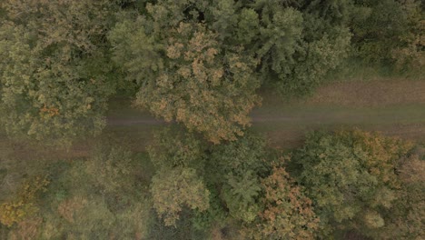 Aerial-top-down-shot-flying-along-a-track-in-the-woods