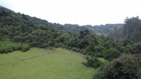 Bosque-De-Reserva-De-Kookal,-Kodaikanal,-Tamil-Nadu,-India