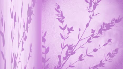 wall-corner-with-pink-background-and-shade-of-plant-tree-nature-moving-by-gentle-breeze-rendering-animation-display-products-e-commerce-online-shop-sale-discount