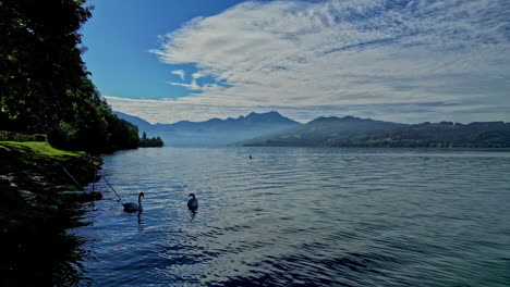 In-Austria's-Attersee,-a-captivating-panorama:-a-lake-with-ducks-nestled-amidst-mountains,-Nature's-masterpiece,-Embark-on-an-adventure-into-this-breathtaking-landscape