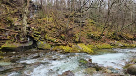 Beautiful-lush,-mossy-stream-in-the-Appalachian-Mountains-on-a-rainy,-early-spring-day