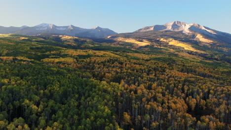 Stunning-bright-bluebird-first-light-sunny-morning-autumn-Aspen-tree-forest-fall-golden-yellow-colors-Kebler-Pass-aerial-cinematic-drone-Crested-Butte-Gunnison-Colorado-Rocky-Mountains-upward