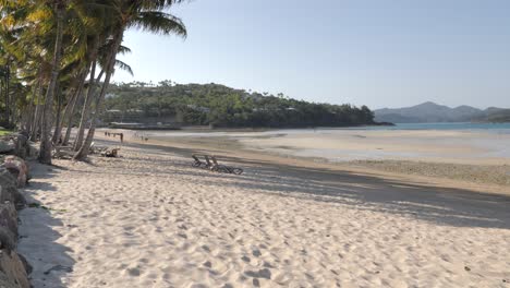 Langsame-Pfanne-Von-Catseye-Beach,-Hamilton-Island,-Queensland,-Australien-Mit-Weißem-Sand-Und-Langsam-Wiegenden-Palmen-An-Tropischen-Sommertagen