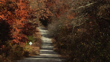Blätter-Fallen-Auf-Der-Straße-Zwischen-Farbenfrohen-Herbstwäldern-In-Ar,-USA---Drohnenaufnahme