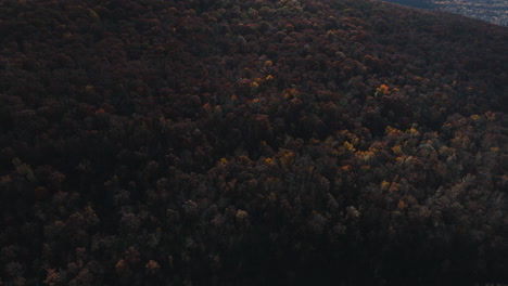 Waldlandschaft-Mit-Herbstlaub-Im-Lee-Creek-River,-Arkansas,-USA