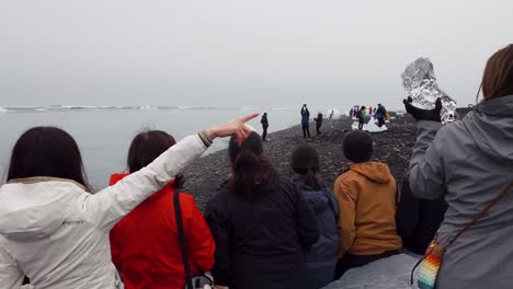 Grupo-De-Turistas-Posando-Entre-Rocas-De-Hielo-Derritiéndose-En-Diamond-Beach-En-Islandia---Concepto-De-Cambio-Climático,-Aumento-Del-Nivel-Del-Mar,-Hipocresía