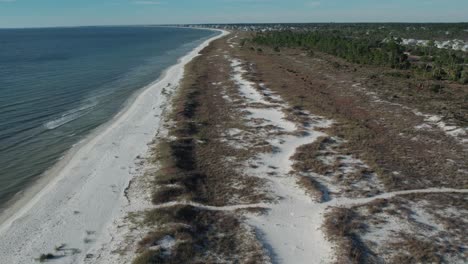 Tiefflug-Entlang-Eines-Natürlichen-Strandes-In-Florida-Am-Natürlichen-Erosionsschutz-Von-Hügeln-Und-Strandgräsern-Und-Pflanzen