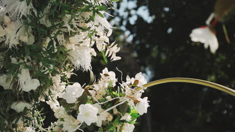 Blooming-white-flowers-on-sunny-day