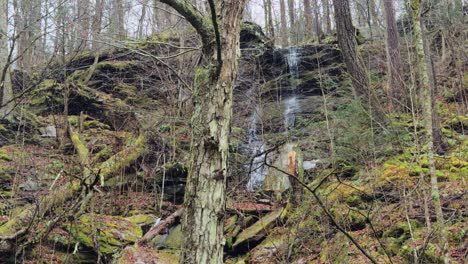 Ein-Atemberaubender-Wasserfall-Hoch-In-Den-Appalachen-Im-Frühen-Frühling-An-Einem-Regnerischen-Tag