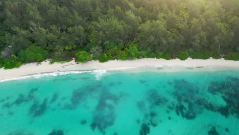 Top-down-aerial-drone-shot-of-tropical-beach