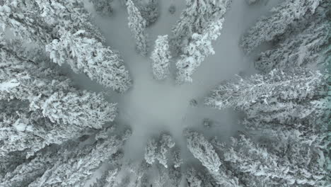 Filmische-Luftaufnahmen-Colorado-Winterwunderland-Frühling-Tiefschnee-Bedeckte-Pinien-Loveland-Skigebiet-Eisenhower-Tunnel-Coon-Hill-Backcountry-I70-Kontinentalscheide-Rocky-Mountains-Kreis