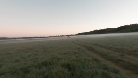 Aerial-drone-footage-flies-low-over-misty-wetlands-near-Hungary's-Lake-Balaton