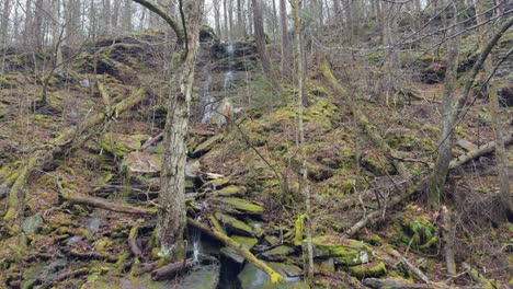 A-stunning-waterfall-high-in-the-Appalachian-Mountains-during-early-spring-on-a-rainy-day