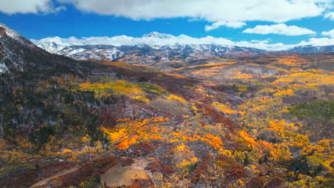 Kebler-Pass-Aspen-Tree-Forest-largest-organism-Crested-Butte-Telluride-Vail-Colorado-cinematic-aerial-drone-red-yellow-orange-first-snow-white-Rocky-Mountains-landscape-dramatic-fall-winter-upward