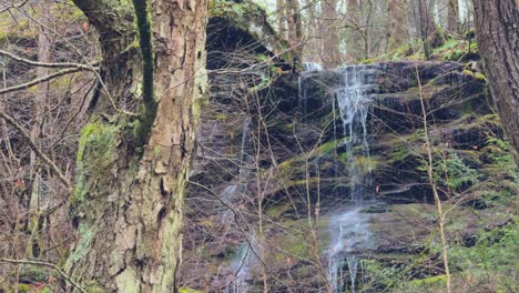 Ein-Atemberaubender-Wasserfall-Hoch-In-Den-Appalachen-Im-Frühen-Frühling-An-Einem-Regnerischen-Tag