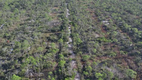 Aerial-flight-over-regrowth-of-forest-from-agriculture-land-in-Florida