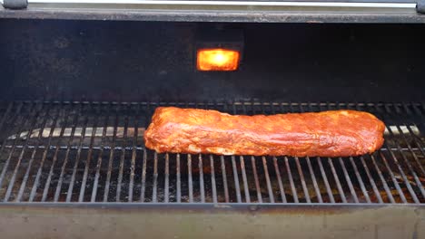 Pork-ribs-on-the-grill