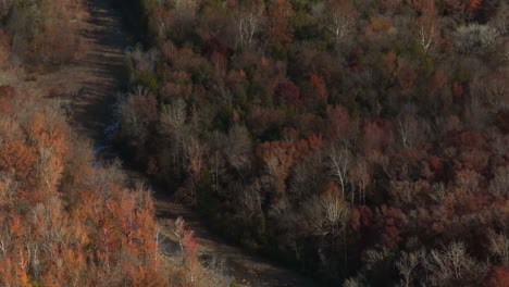 Lee-Creek-Mit-Flachem-Wasser-Zwischen-Dem-Dichten-Wald-Mit-Herbstlaub-In-Arkansas,-USA